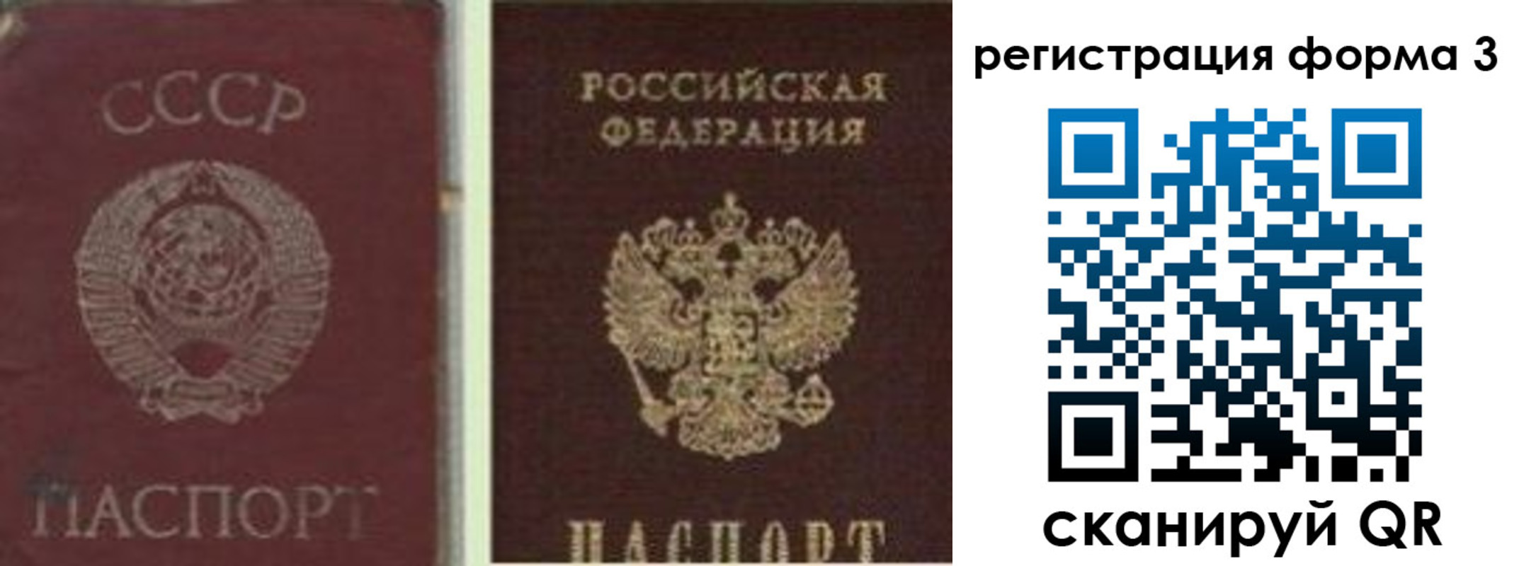 прописка для школы в Шатуре